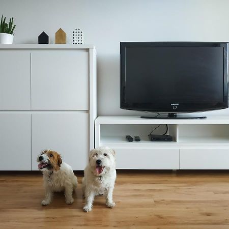 Uroczy Apartament Pod Skarpa Вадовице Экстерьер фото